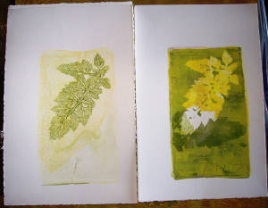 2012photos/webMonotype11.JPG